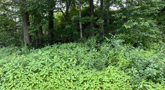 Photo of Lot 76A Eastern Rd, Warren, ME 04864