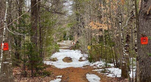 Photo of SO001 Plan1 Lot 25,26 Long Falls Dam Rd, Lexington Twp, ME 04961