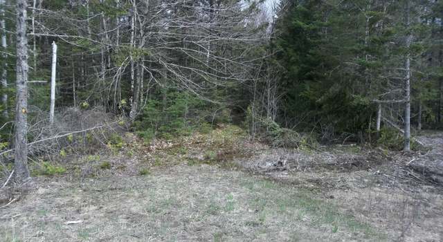 Photo of M75 L3 Airline Rd, Alexander, ME 04694