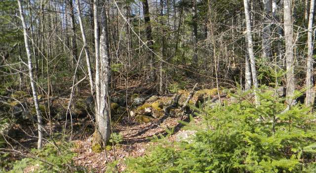 Photo of 0 Lot Pease, Map 4 Lot 4 Rd, Cambridge, ME 04923