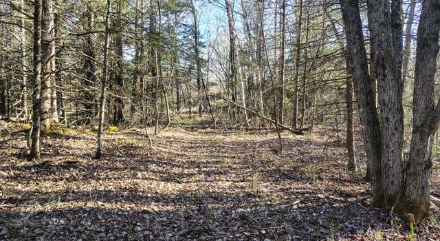 Photo of M17/L28 Basin Rd, Addison, ME 04606