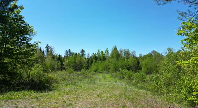 Photo of Lot 5 Fogg Brook Rd, Lowell, ME 04493
