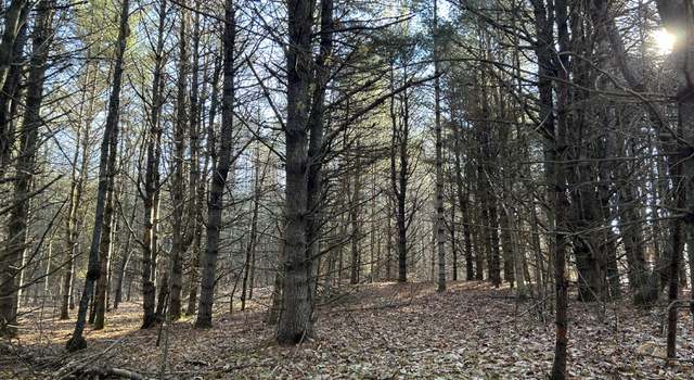 Photo of Lot #1 Thorndike Road (route 139/220), Unity, ME 04988