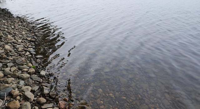 Photo of off West Whitopitlock Lake Rd, T2 R4 Wels, ME 04497