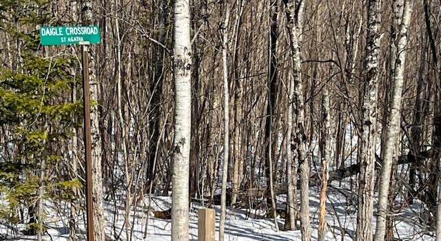 Photo of 00 Daigle Cross Rd, Saint Agatha, ME 04772