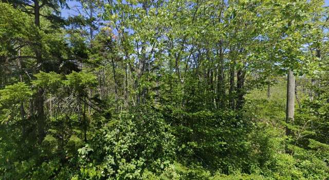 Photo of 0 Flye Point Rd, Brooklin, ME 04616
