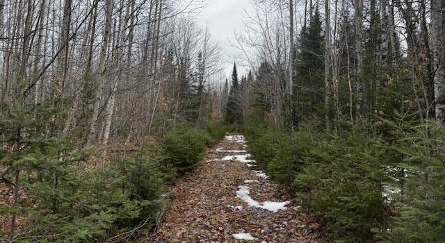 Photo of M9 L19-A-1 Off Deer Run Rd, Stetson, ME 04488
