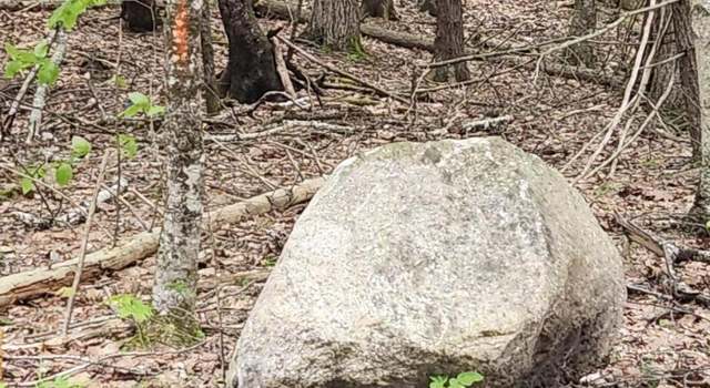 Photo of Map 42-272 King Hill Rd, Limerick, ME 04048