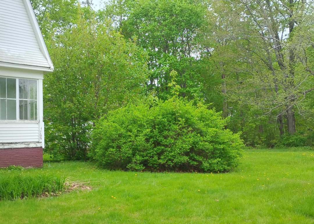 105 Broadway, Baileyville, ME 04694