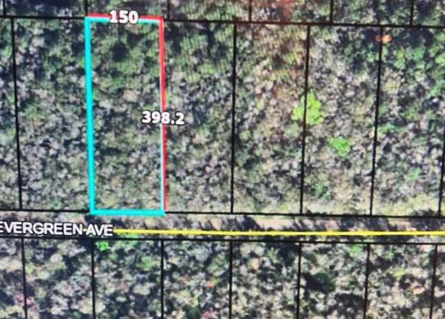 Property at 3684 Evergreen Ave, Bunnell, FL 32110