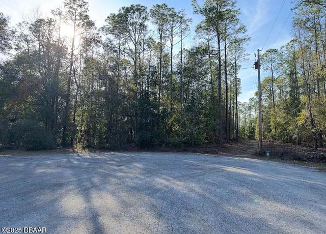 Property at 0 SW 93rd Ln, Dunnellon, FL 34431