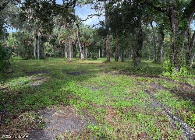 Property at 0 Tionia Rd, New Smyrna Beach, FL 32168