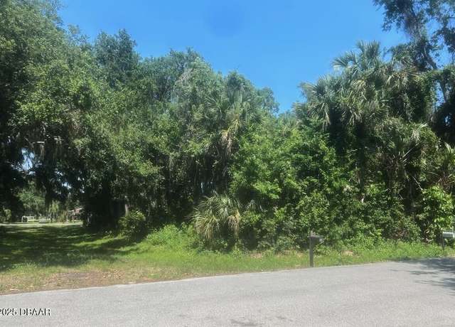 Property at 00 Orange Tree Dr, Edgewater, FL 32141