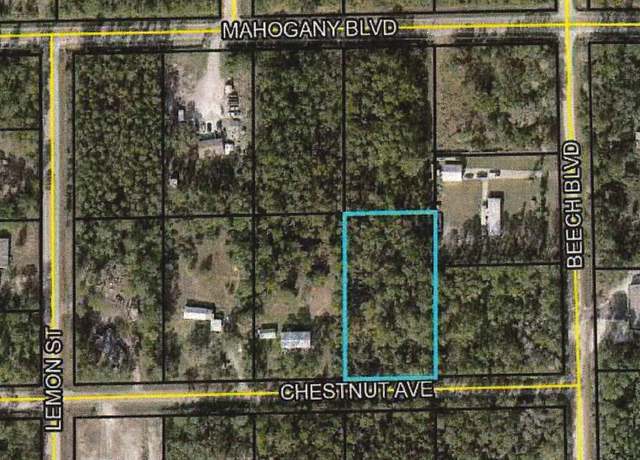 Property at 5540 Chestnut Ave, Bunnell, FL 32110