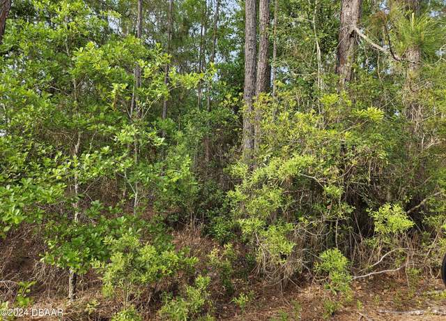 Property at 230 Hazel Ave, Georgetown, FL 32139