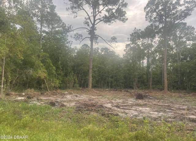 Property at 217 Paradise Blvd, Georgetown, FL 32139