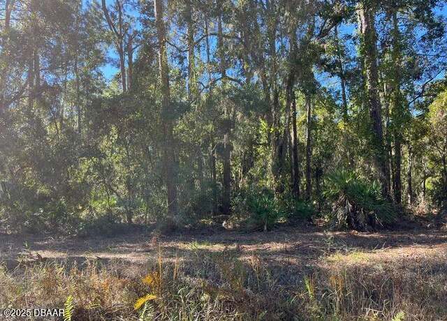 Property at 125 E Boundary Dr, Georgetown, FL 32139