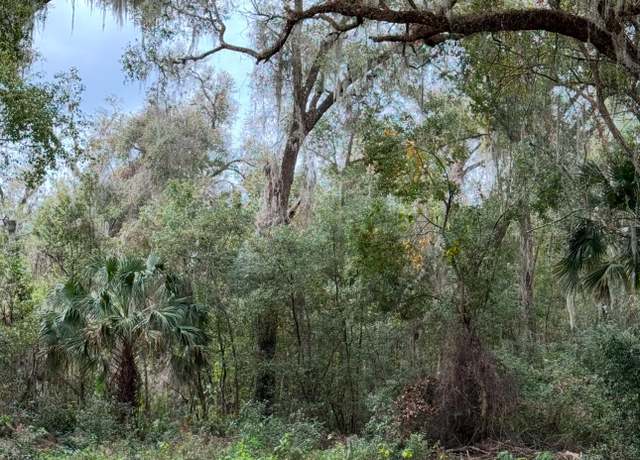 Property at 659 S Thorpe Ave, Orange City, FL 32763