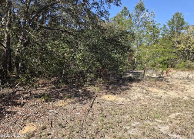 Property at 0 Fisher Trace Run, Ocklawaha, FL 32179