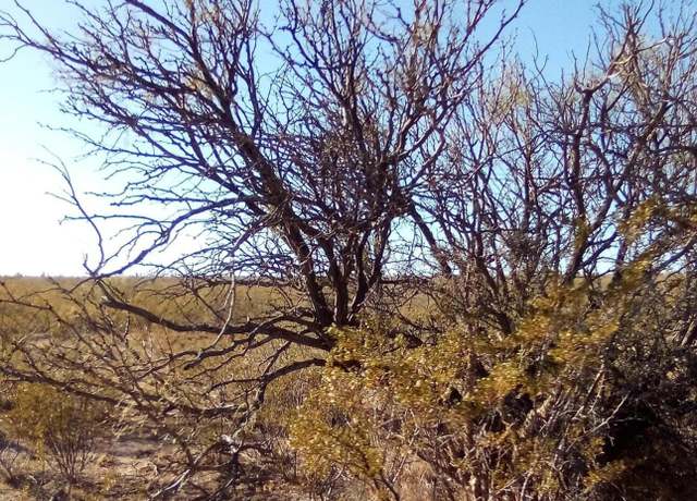 Property at 3 Indian Wls, Sierra Blanca, TX 79851