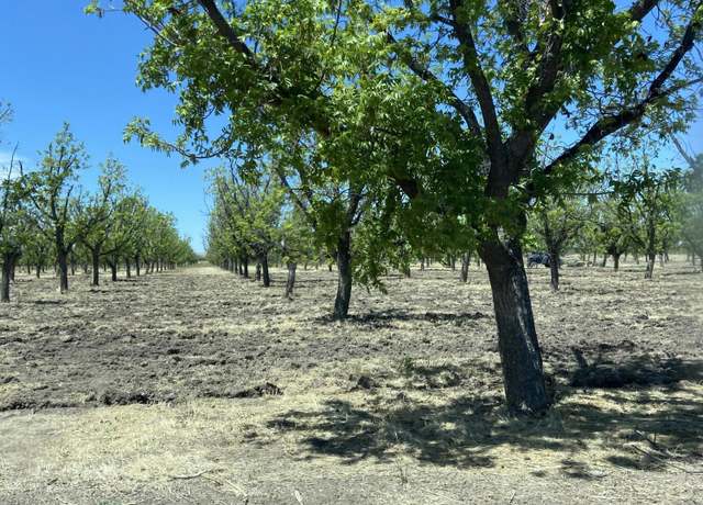 Property at 841 Aldaz, Anthony, NM 88021