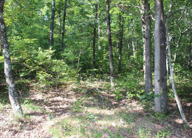 Property at 0 6 Ridge Rd, Mountain View, AR 72560