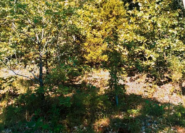 Property at Tbd Wahoo Dr, Cherokee Village, AR 72529