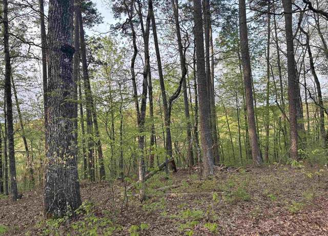 Property at 30 Jubileo Way, Hot Springs Village, AR 71909