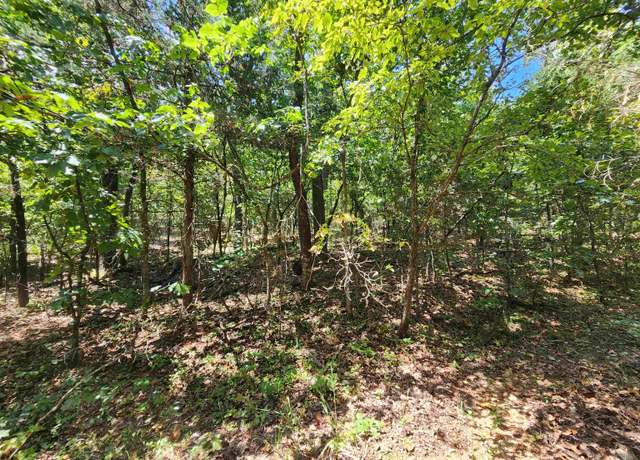 Property at L-50, B-3 Lightning Cir, Highland, AR 72529