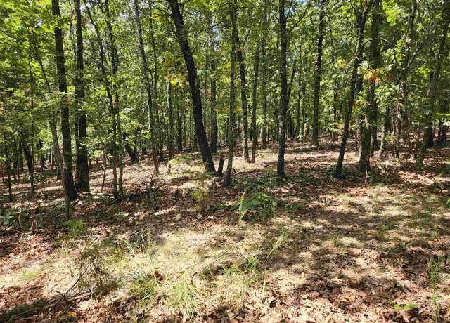Property at L101-103, B-3 Lightning Cir, Highland, AR 72542