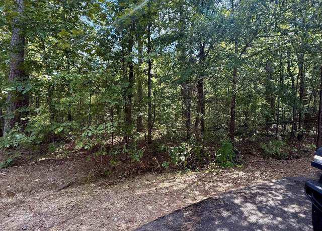Property at 5 Pintuerero Ln, Hot Springs Village, AR 71909