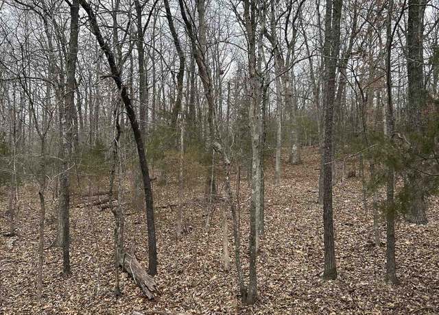 Property at 12 Blk 2 Medicine Ldg Lot 12, Ozark Acres, AR 72482