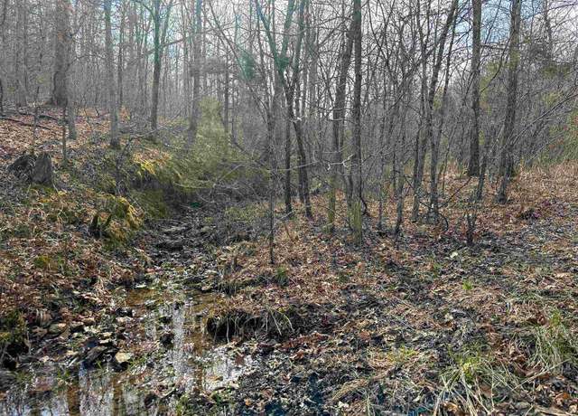 Property at Xx N Summit Ridge Dr, Williford, AR 72482