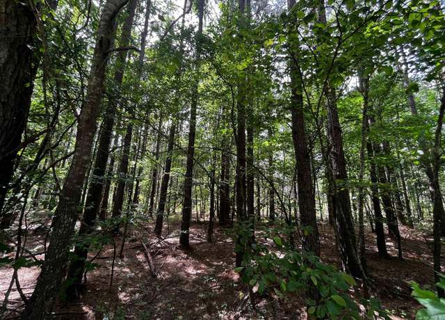 Property at 0 S Sardis Rd, Bauxite, AR 72011