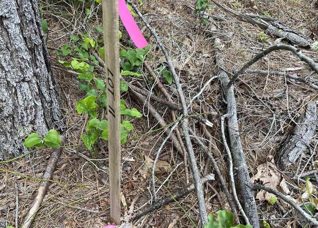Property at Tract Unit 11 Castle, Glenwood, AR 71943