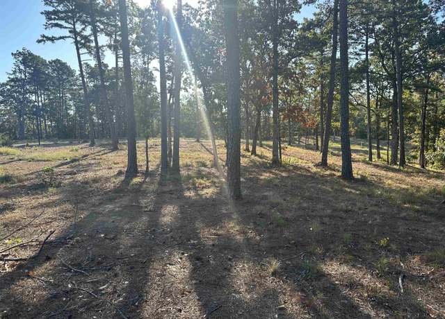 Property at 2915 Orchard View Dr, Conway, AR 72034