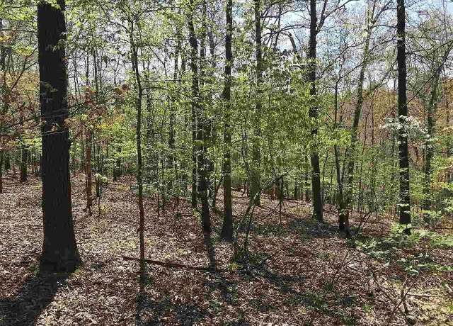 Property at 32-34 Red Oak Trail Rd, Hardy, AR 72542