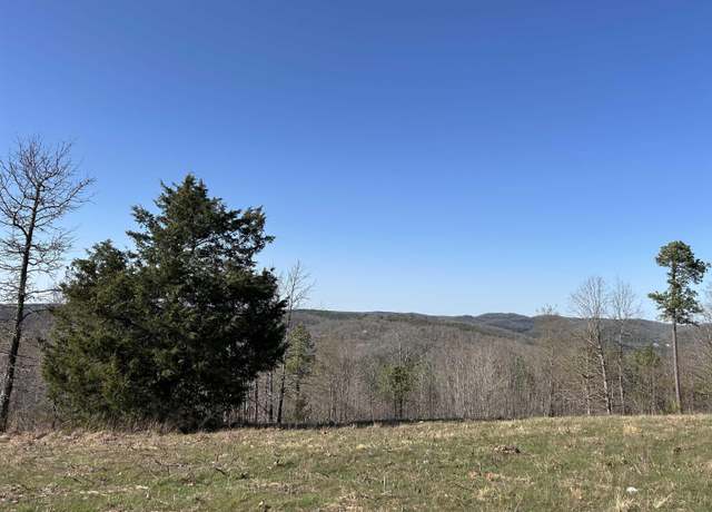 Property at Tract 2 The Blessing 3.47 Acres, Mountain View, AR 72560
