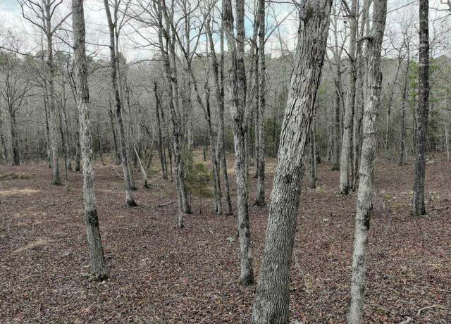 Property at Tbd Dogwood Springs Ln, Mena, AR 71953