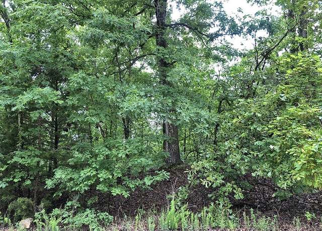 Property at Buckboard Dr, Ozark Acres, AR 72482