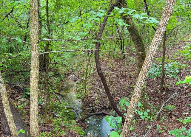 Property at 14848 Wild Honey Dr, Garfield, AR 72732