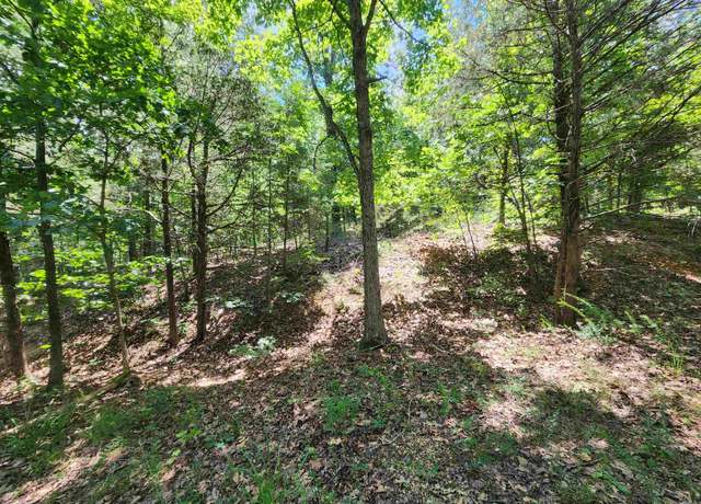 Property at L10b9 Quarez, Cherokee Village, AR 72529