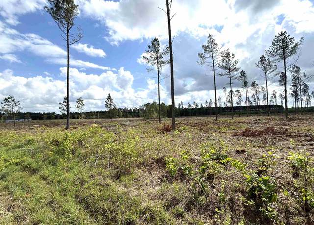Property at 0 Grant County Road 9 (c), Sheridan, AR 72150