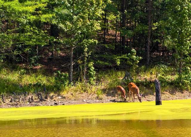 Property at 700 Speers Cir, Jessieville, AR 71949