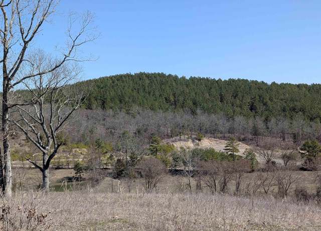 Property at Unk Polk Road 62, Mena, AR 71953