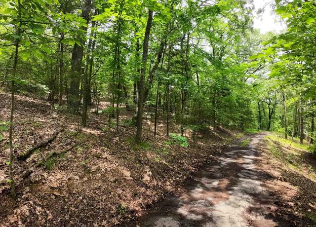 Property at 000 Long Gum Ln, Russellville, AR 72802
