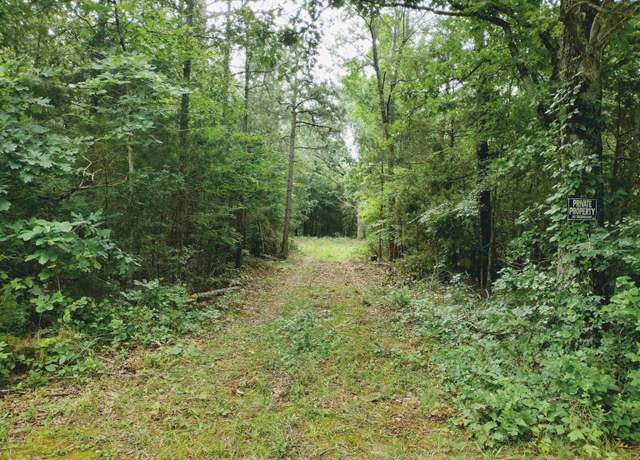 Property at 0 Little Pond Rd, Mountain View, AR 72560