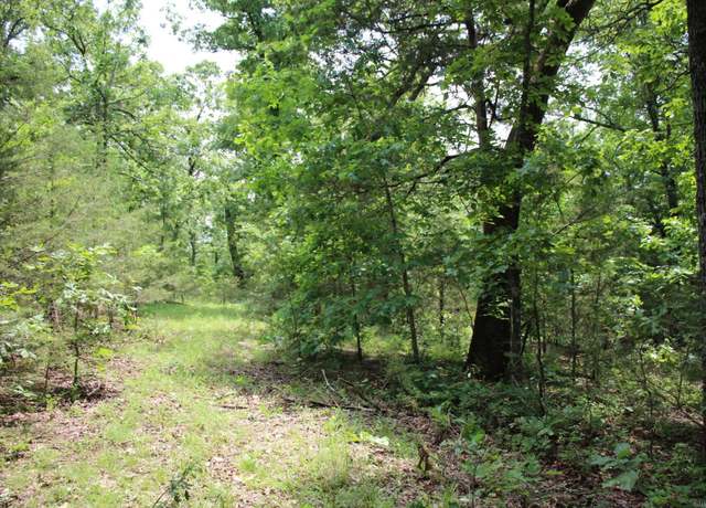 Property at 00105713003 Mc 8094 Cmn, Flippin, AR 72634