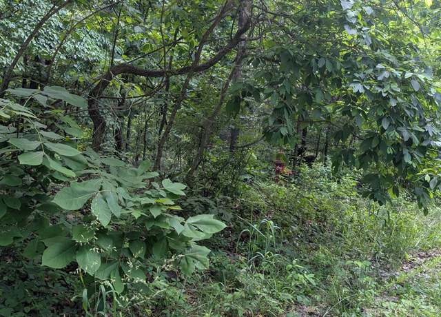 Property at 201 Cinderella St, Horseshoe Bend, AR 72512