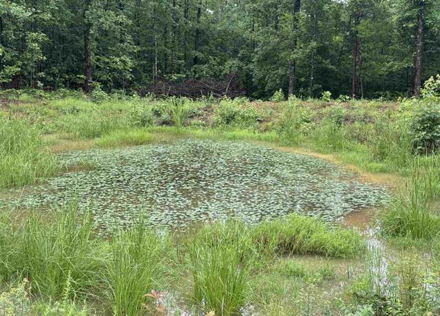 Property at 00 Henderson Rd, Clinton, AR 72031